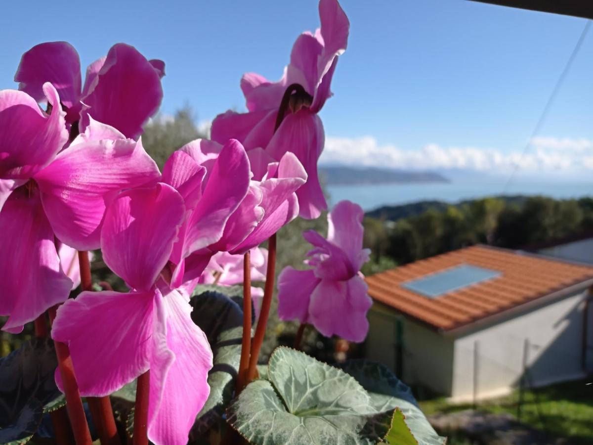 Le Vigne Di Lenf Apartment Porto Venere Exterior photo