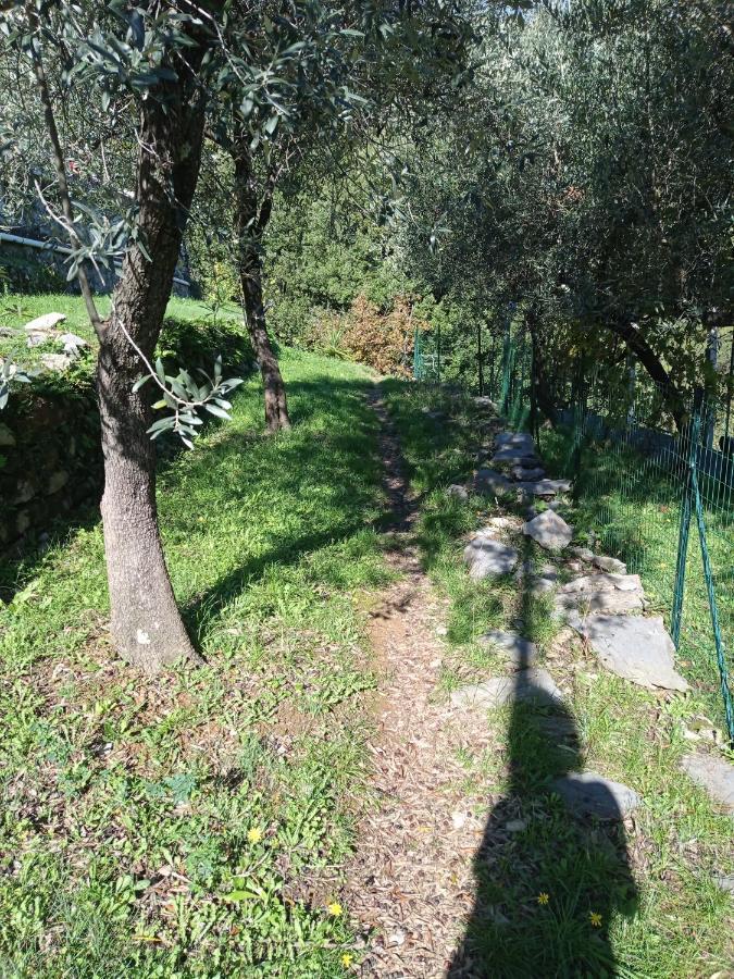 Le Vigne Di Lenf Apartment Porto Venere Exterior photo